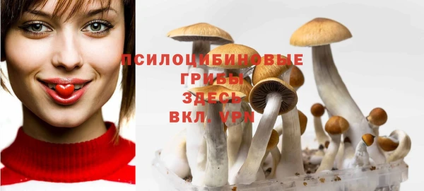 соль курить ск Арсеньев