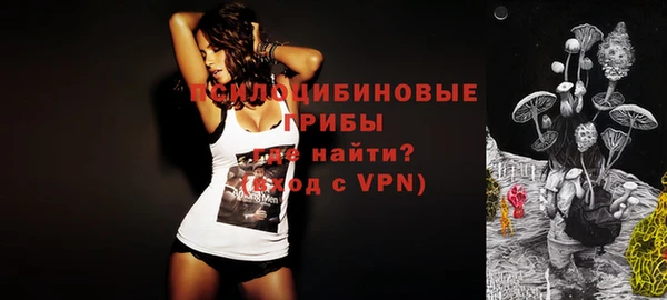 шишки Армянск