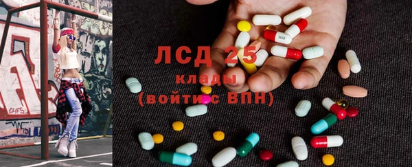 шишки Армянск