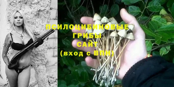 соль курить ск Арсеньев