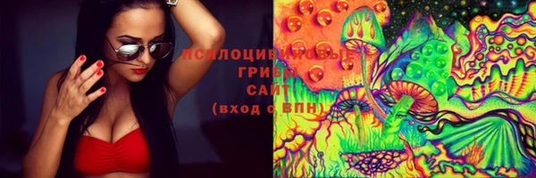 прущие крисы Аркадак