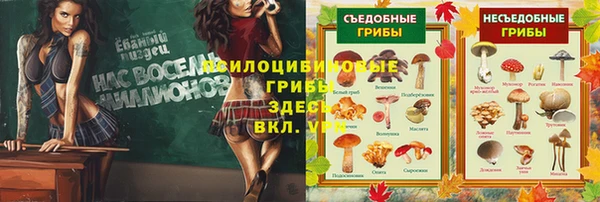 прущие крисы Аркадак