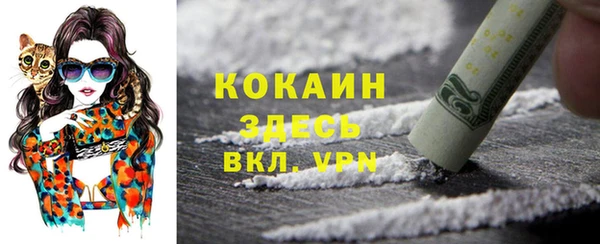 шишки Армянск