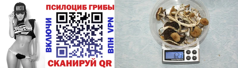 Купить закладки  Тихорецк  Псилоцибиновые грибы Psilocybe 