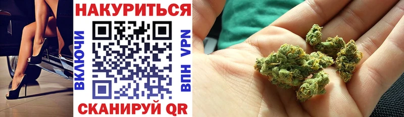 Купить закладки  Тихорецк  МАРИХУАНА план 